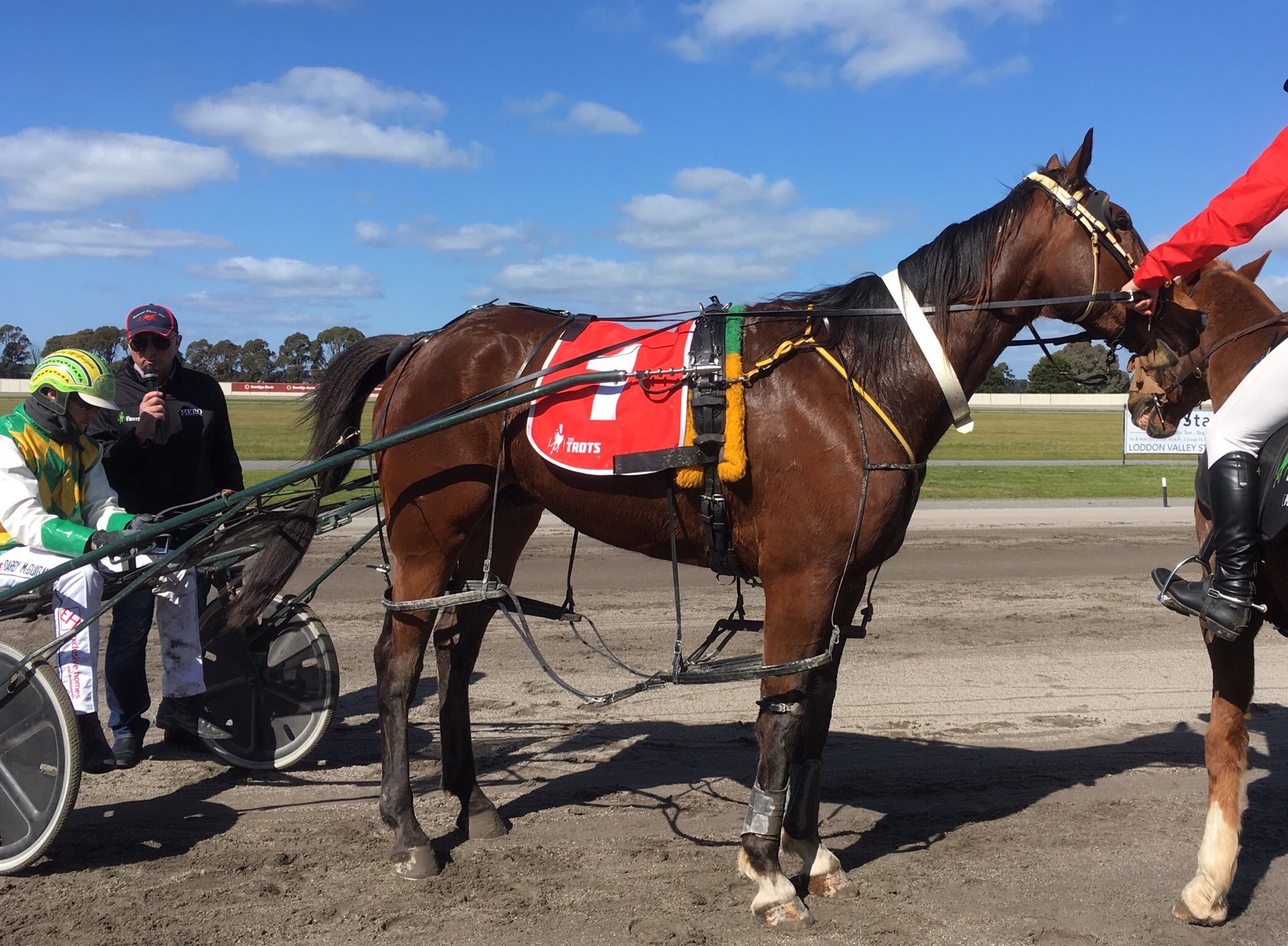 Recap Humbletonian Day 2019 at Maryborough Harness Racing Victoria